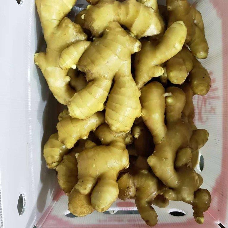Get to Know the Top 4 Fresh Ginger Suppliers in South Africa